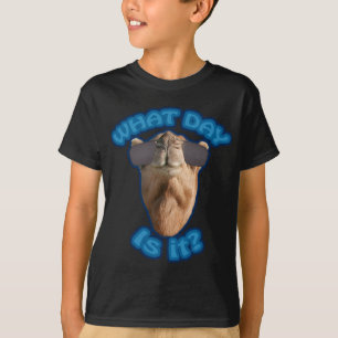 Funny "What Day is it?" Humpday T-Shirt