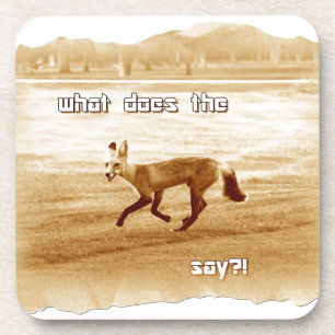 funny what does the fox say coaster