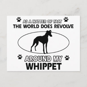 Funny whippet designs postcard
