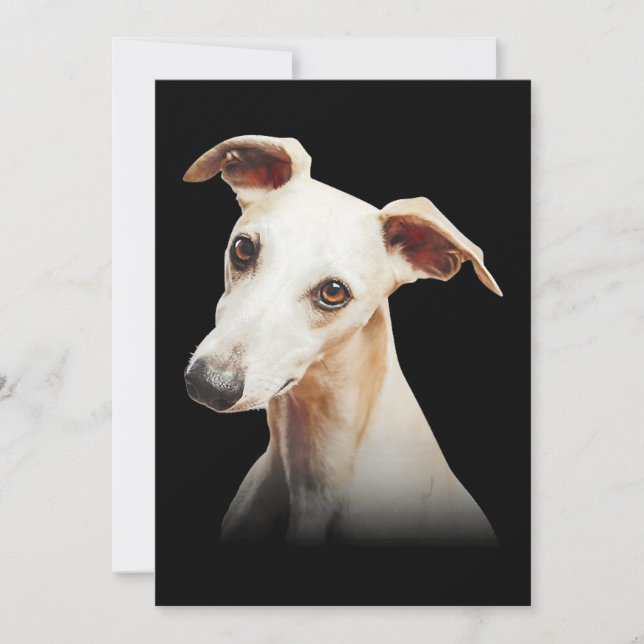Funny Whippet Face Whippet Smile Whippet Only Face Holiday Card (Front)
