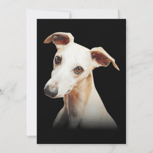 Funny Whippet Face Whippet Smile Whippet Only Face Holiday Card