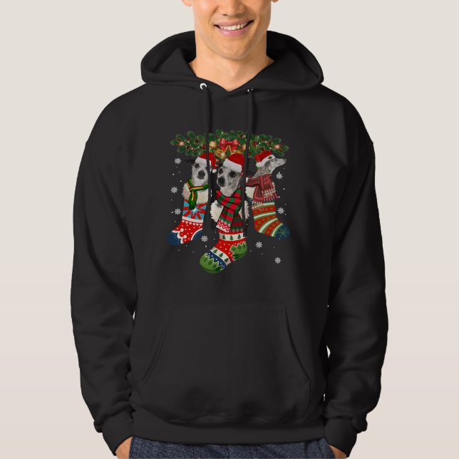 Funny Whippet In Sock Xmas Reindeer Santa Dog Gift Hoodie (Front)