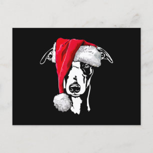 funny whippet santa christmas dog mum gift present announcement postcard