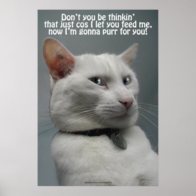 Funny White Cat Humour Pet-lover's Poster (Front)