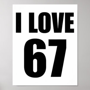 Funny White Lie Party Teacher Women's I Love 67 Br Poster