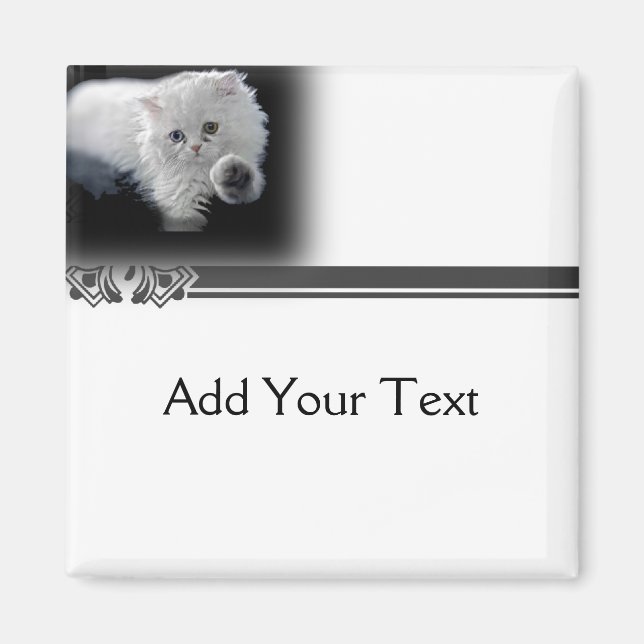 Funny White Persian Cat Magnet (Front)