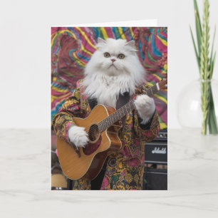 Funny White Persian Cat Rocker Card
