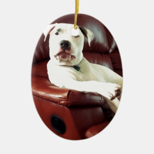 funny white pit bull dog on the couch ceramic tree decoration