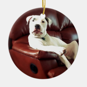 funny white pit bull dog on the couch ceramic tree decoration