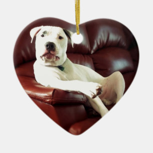 funny white pit bull dog on the couch ceramic tree decoration