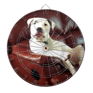 funny white pit bull dog on the couch dartboard