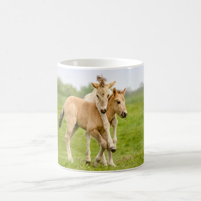 Funny Wild Konik Horses Foals Playing Together - Coffee Mug (Center)