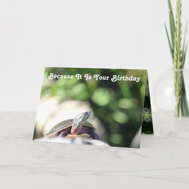 Funny Wild Old Turtle Card (Front)