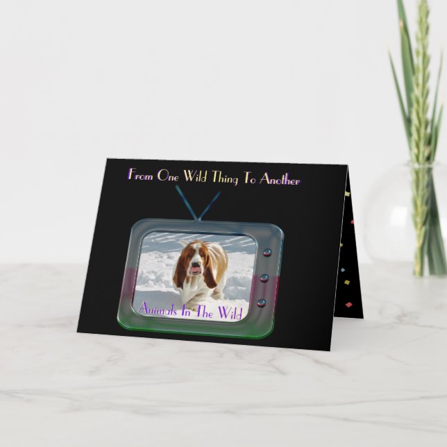 Funny "Wild Thing" Birthday Card W/Basset Hound (Front)