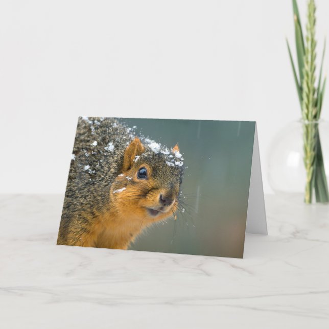 Funny Wildlife Christmas Card (Front)