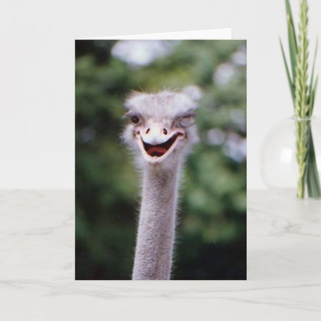 Funny Winking Ostrich Greeting Card (Customisable) (Front)
