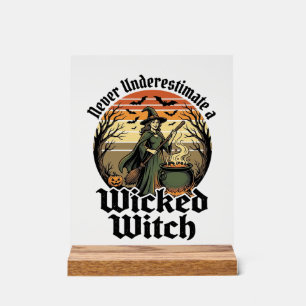 Funny Witch Shirt Vintage Engraving Halloween Desi Acrylic Sign