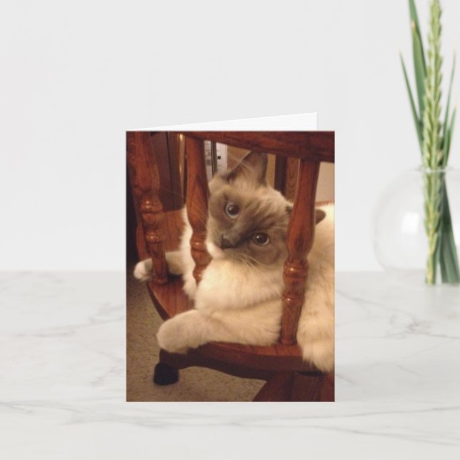 Funny with an attitude rag doll cat card (Front)