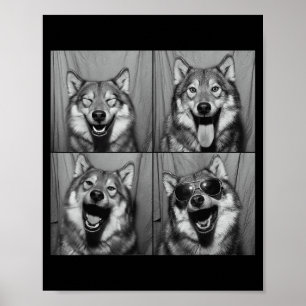 Funny Wolf Photo Booth Sungles Dog  Poster
