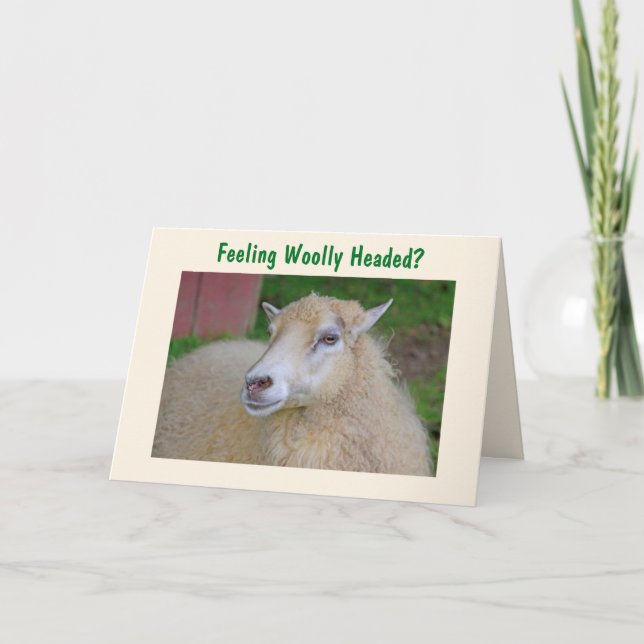 Funny Woolly Sheep Get Well Card (Front)