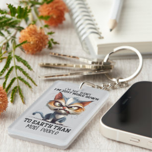 Funny word art cat short key ring