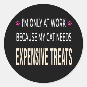 Funny Work Because My Cat Needs Expensive Treats Classic Round Sticker