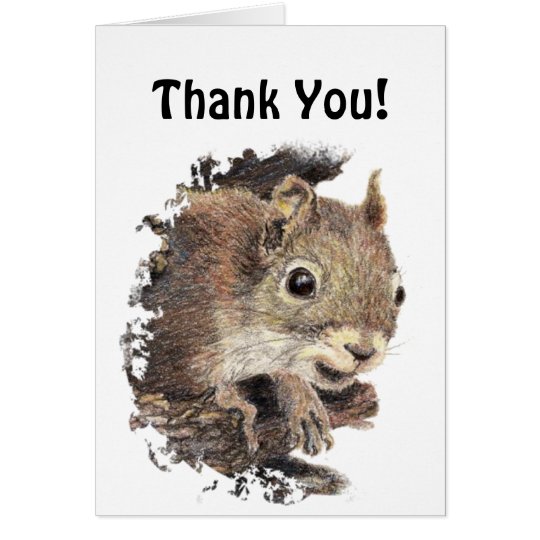 Funny, Would Have Gone Nuts! Thank You Squirrel Card