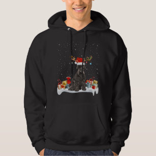 Funny Xmas Lighting Reindeer Santa Hat Schnauzer C Hoodie