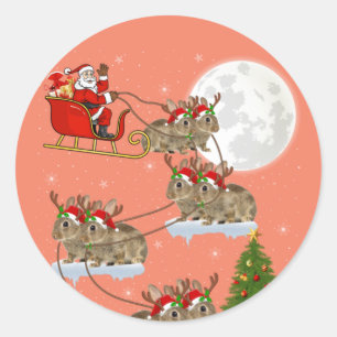 Funny Xmas Lighting Tree Santa Riding Bunny Christ Classic Round Sticker