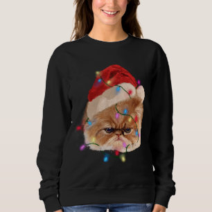 Funny Xmas Persian Cat Christmas Lights Adorable F Sweatshirt