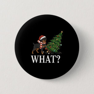 Funny Xmas Rottweiler Pushing Christmas Tree Over 6 Cm Round Badge