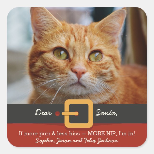 Funny Xmas Santa Cat More Purr Less Hiss Photo Square Sticker (Front)