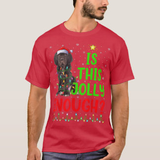 Funny Xmas Tree Is This Jolly Enough Cane Corso Ch T-Shirt