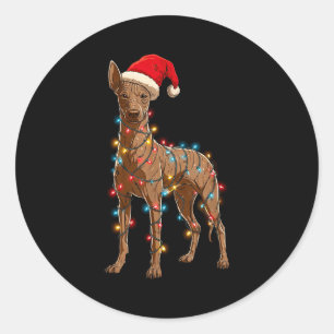 Funny Xoloitzcuintli Christmas Graphic Dog Lights Classic Round Sticker