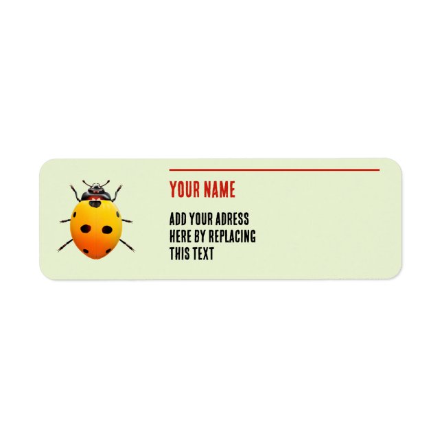 Funny Yellow Ladybug Personalised Address (Front)
