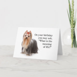 Funny Yorkie Card