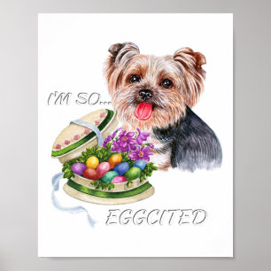 Funny Yorkie Easter Quote, Colourful Eggs, Yorkshi Poster