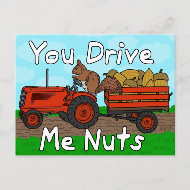 Funny You Drive Me Nuts Squirrel Pun Valentine's Holiday Postcard (Front)