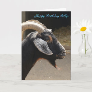 Funny "You old goat"  Happy Birthday Card 