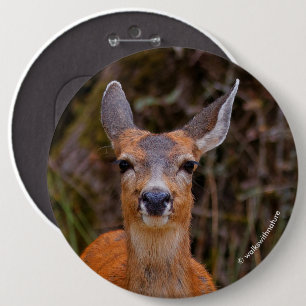 Funny Young Blacktail Deer Smiles at Photographer 6 Cm Round Badge