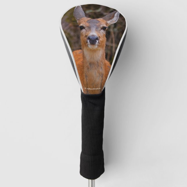 Funny Young Blacktail Deer Smiles at Photographer Golf Head Cover (Front)