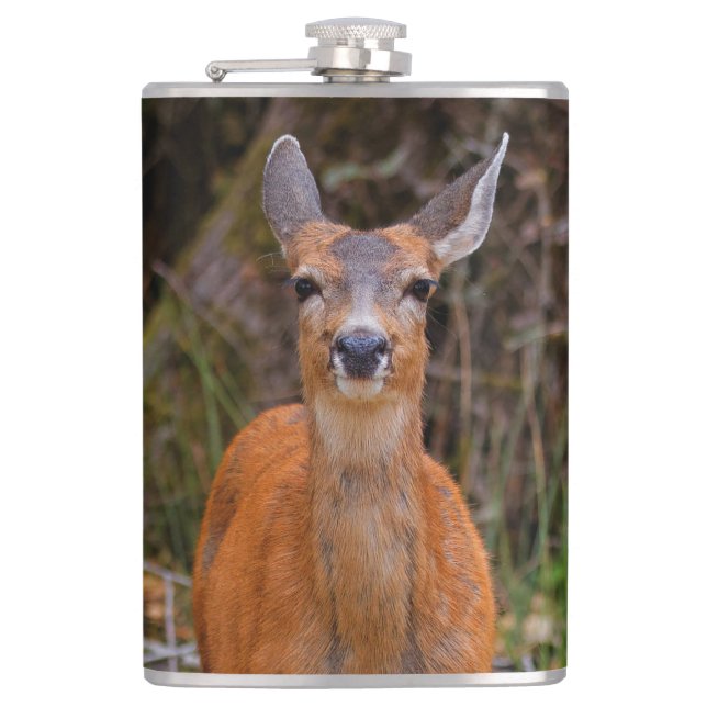 Funny Young Blacktail Deer Smiles at Photographer Hip Flask (Front)