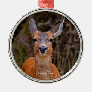 Funny Young Blacktail Deer Smiles at Photographer Metal Tree Decoration