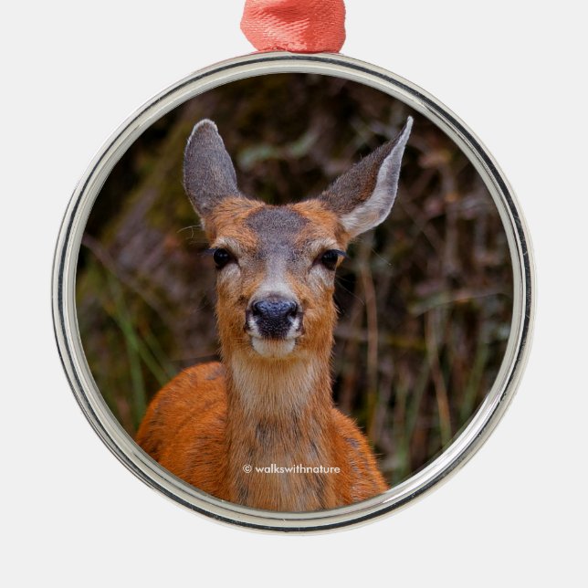Funny Young Blacktail Deer Smiles at Photographer Metal Tree Decoration (Front)