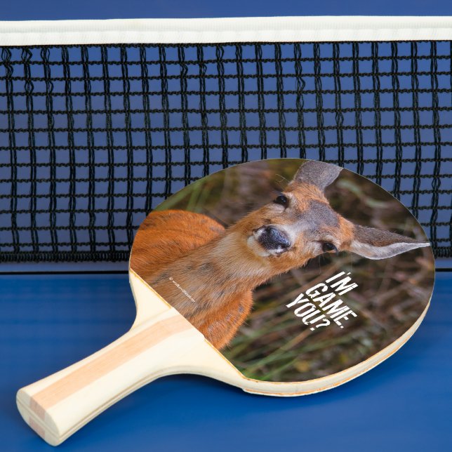 Funny Young Blacktail Deer Smiles at Photographer Ping Pong Paddle (Insitu)