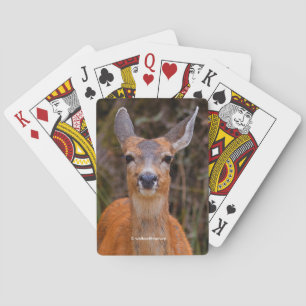 Funny Young Blacktail Deer Smiles at Photographer Playing Cards