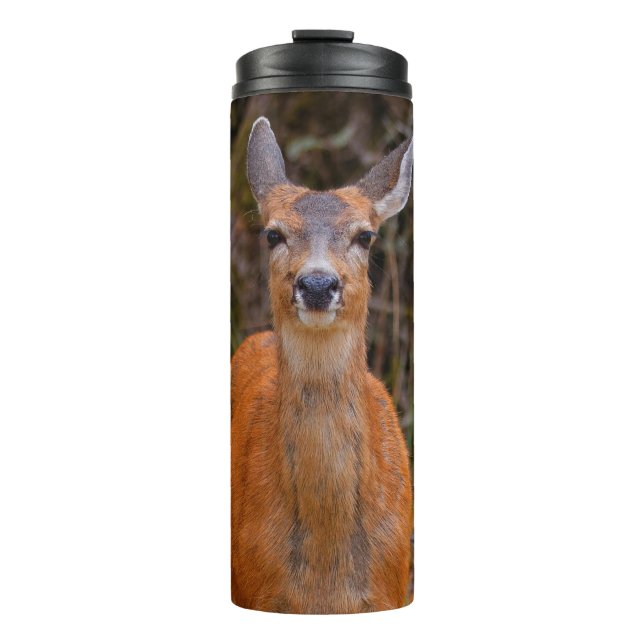 Funny Young Blacktail Deer Smiles at Photographer Thermal Tumbler (Front)