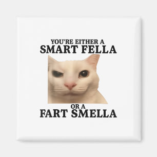 Funny Youre Either A Smart Fella Or A Fart Smella Magnet