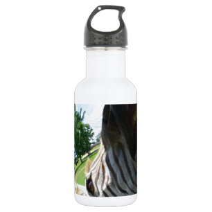 Funny Zebra 532 Ml Water Bottle