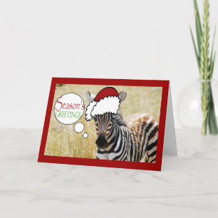 Funny zebra Christmas greeting Holiday Card